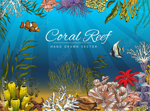 Fototapeta Naklejka Na Ścianę i Meble -  Seabed or ocean bottom with coral reef colony and fishes, colored sketch vector illustration.