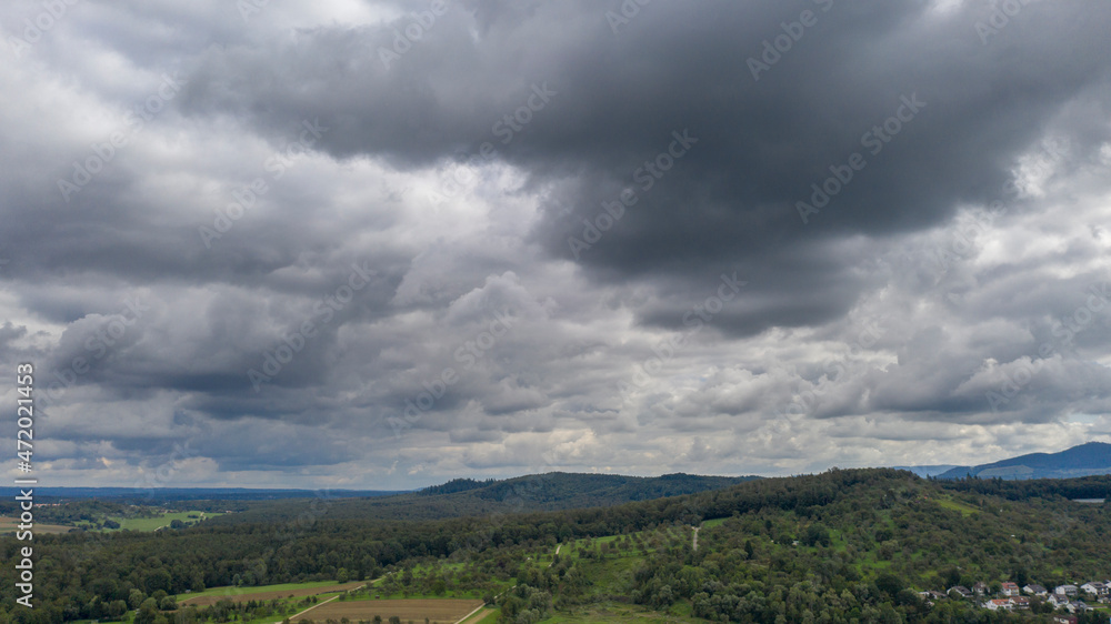 Waldlandschaft