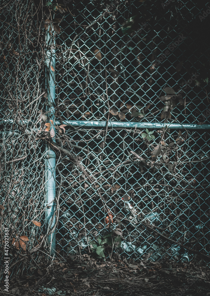 Fototapeta premium fence