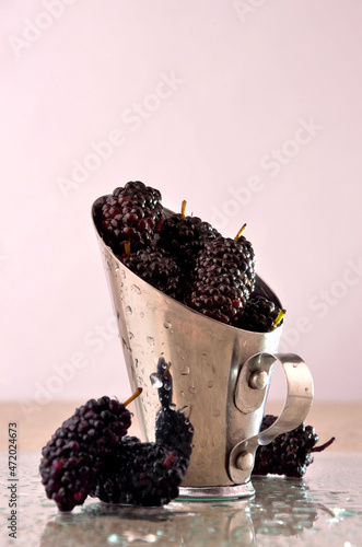 fresh blackberry served in a shell photo