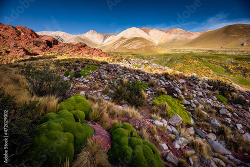 beautiful landscape of the mountain range, famatina, la rioja, argentina