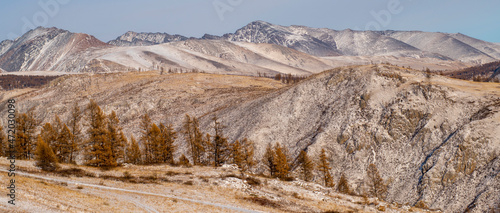landscape in winter