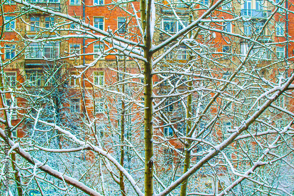 Snowy tree on orange facade background, snow in the city Snowy tree on orange facade background, snow in the city