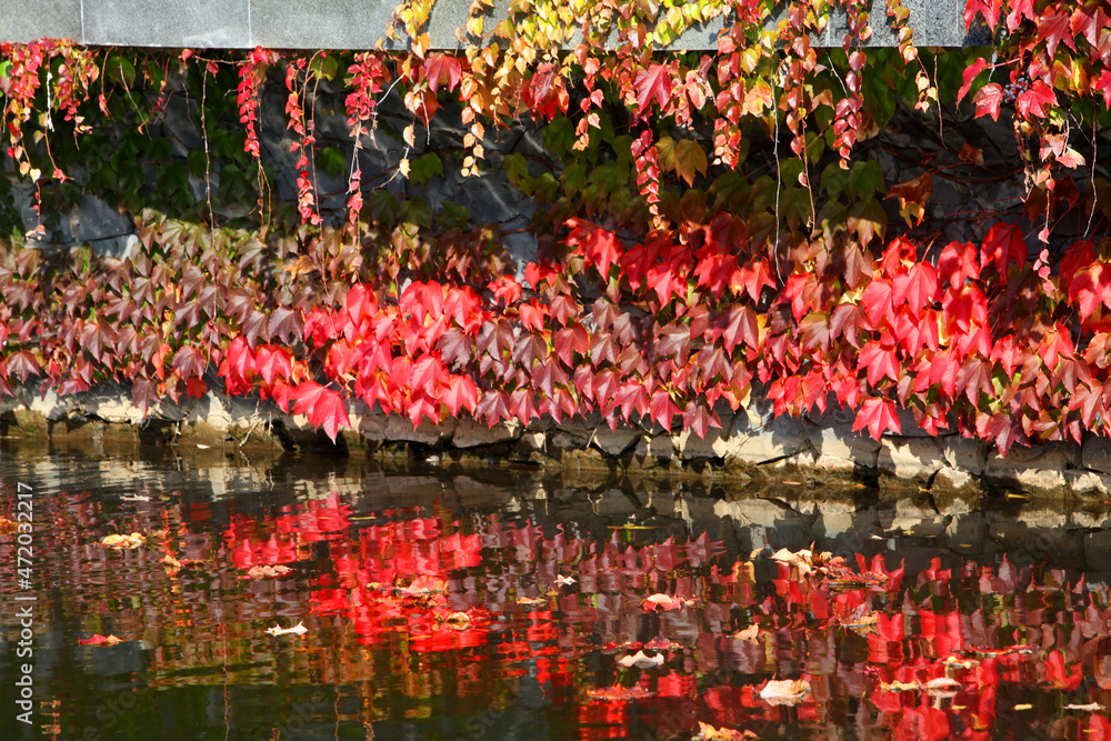 Autumn leaves are beautifully reflected in the bright blue water Autumn leaves are beautifully reflected in the bright blue water
