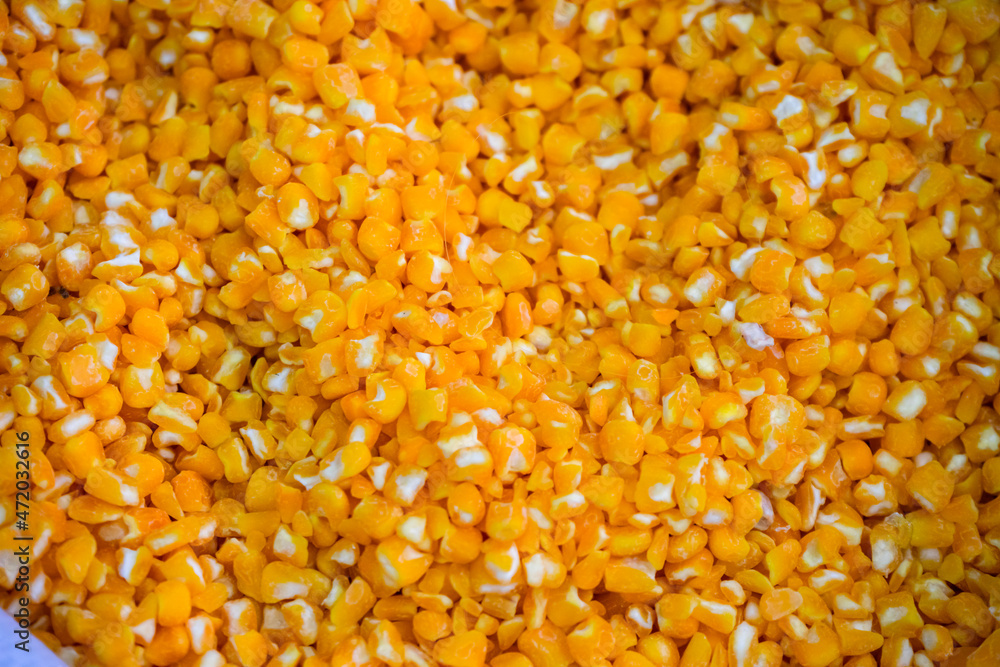 Dry groats in bulk in a bag close-up: corn Dry groats in bulk in a bag close-up: corn