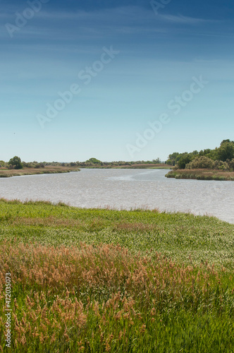 View of steppe and upper river Don in Russia. Beautiful summer landscape.