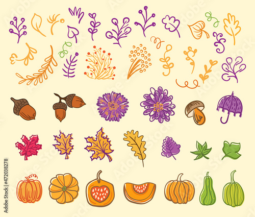 Hand drawn elements. Autumn set. Vector illustration