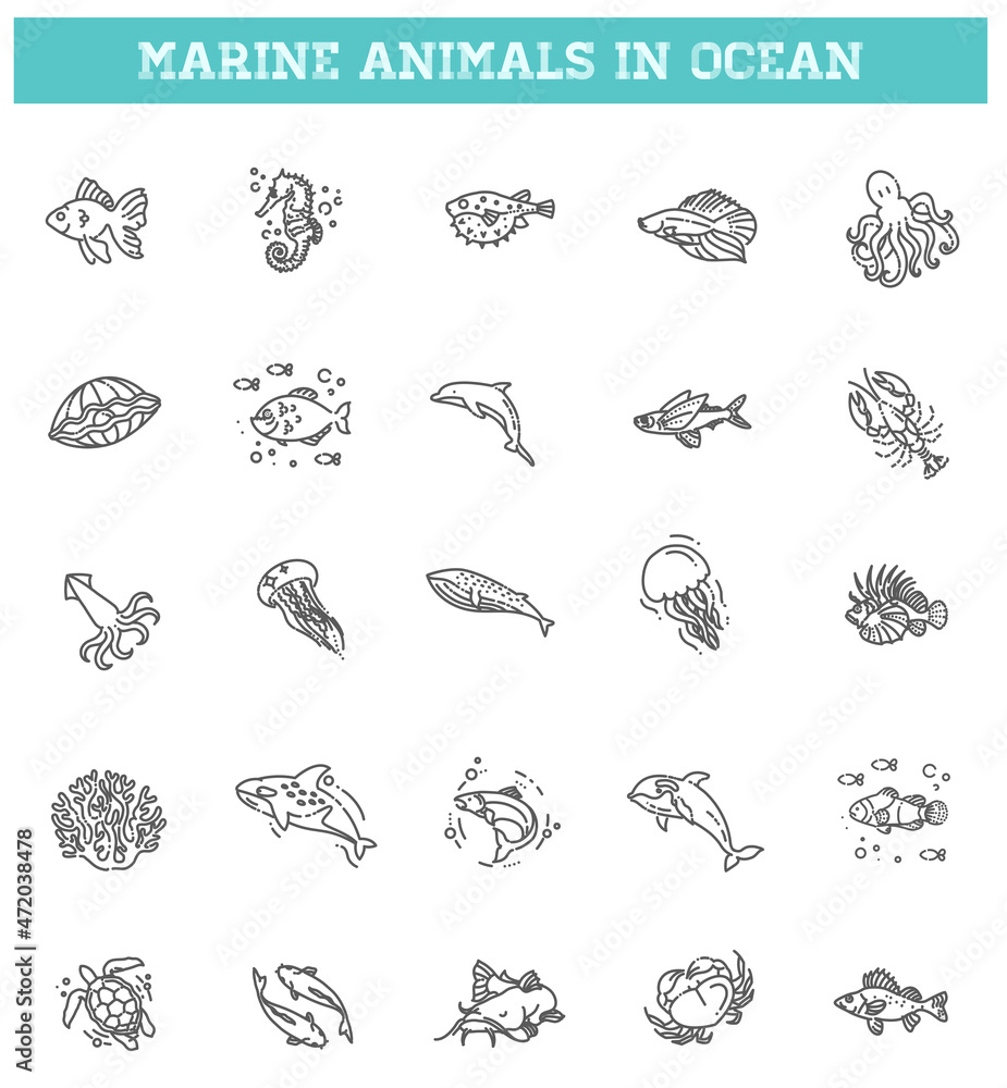 Fish and wild marine animals in ocean.