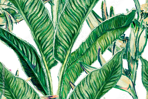 Bird of Paradise Seamless Pattern for Swimwear. Teal Green Bird-of-Paradise Spring-Summer Tile Tropical Leaf Background. Large Polynesia Floral Print. Strelitzia Feminine Exotic Design. © Vialeta