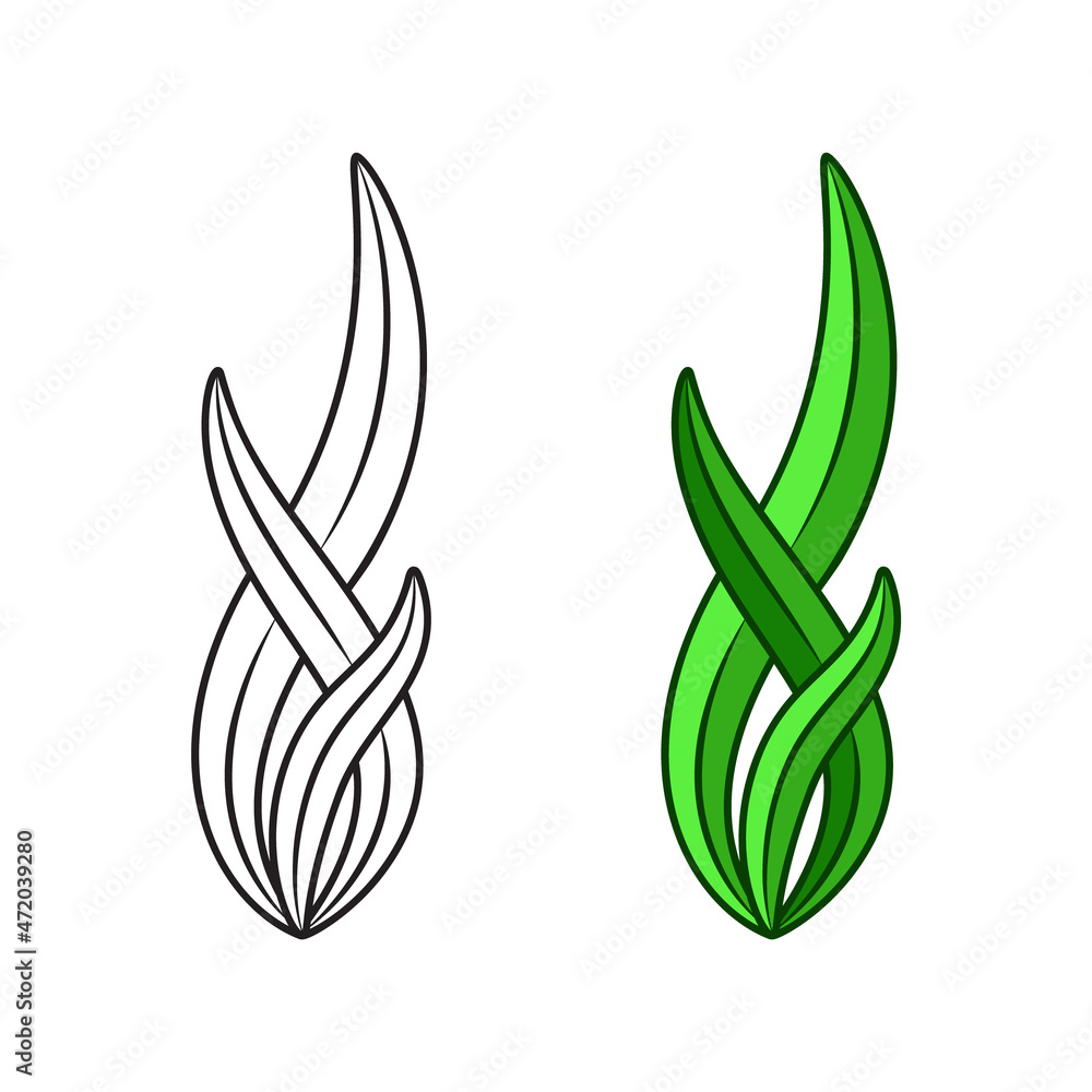 Obraz premium Spirulina, linear and color icon. Outline simple vector of seaweed or green water plant. Contour isolated pictogram on white background