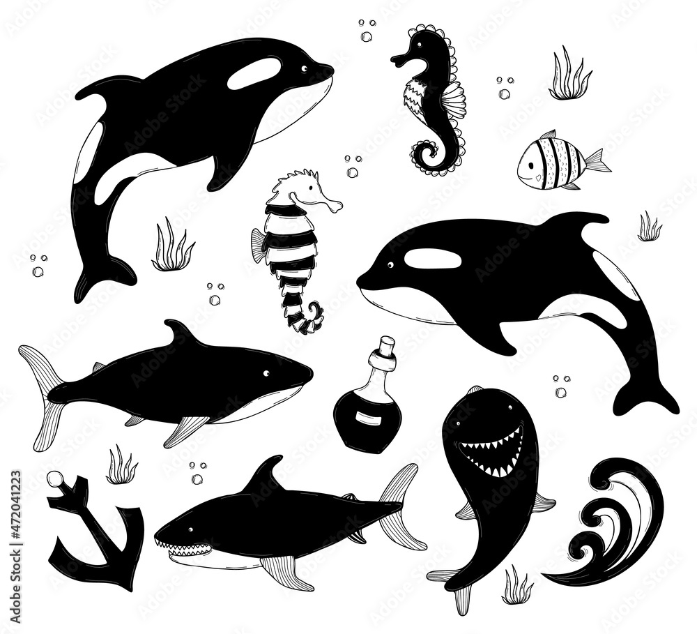 Set of sea animals. Cute big whale killer whale and shark, seahorse and  dolphin, anchor and seaweed. Vector outline illustrations, in style of  hand-drawing linear doodles for design and decor Stock Vector |