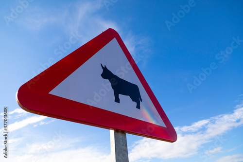 Señal de carretera de advertencia de cruce de ganado (icono de una vaca en un triángulo) con un cielo azúl