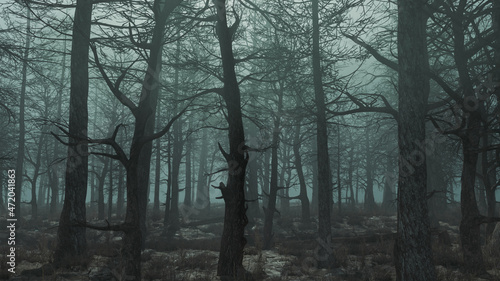 3d render of a gloomy day forest side view