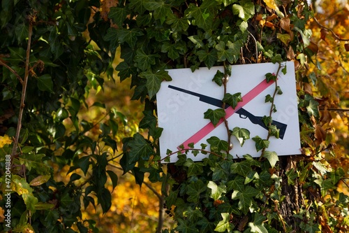 Señal de prohibición de caza (ilustración de una escopeta tachada) en el tronco de un pino en un bosque con colores de otoño photo