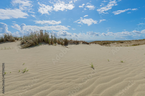 Curonian Spit and Curonian Lagoon, Baltic dune
