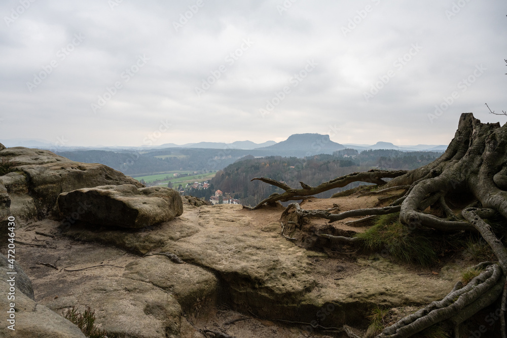 Blick zum Elbtal und Lilienstein - Sächsische Schweiz