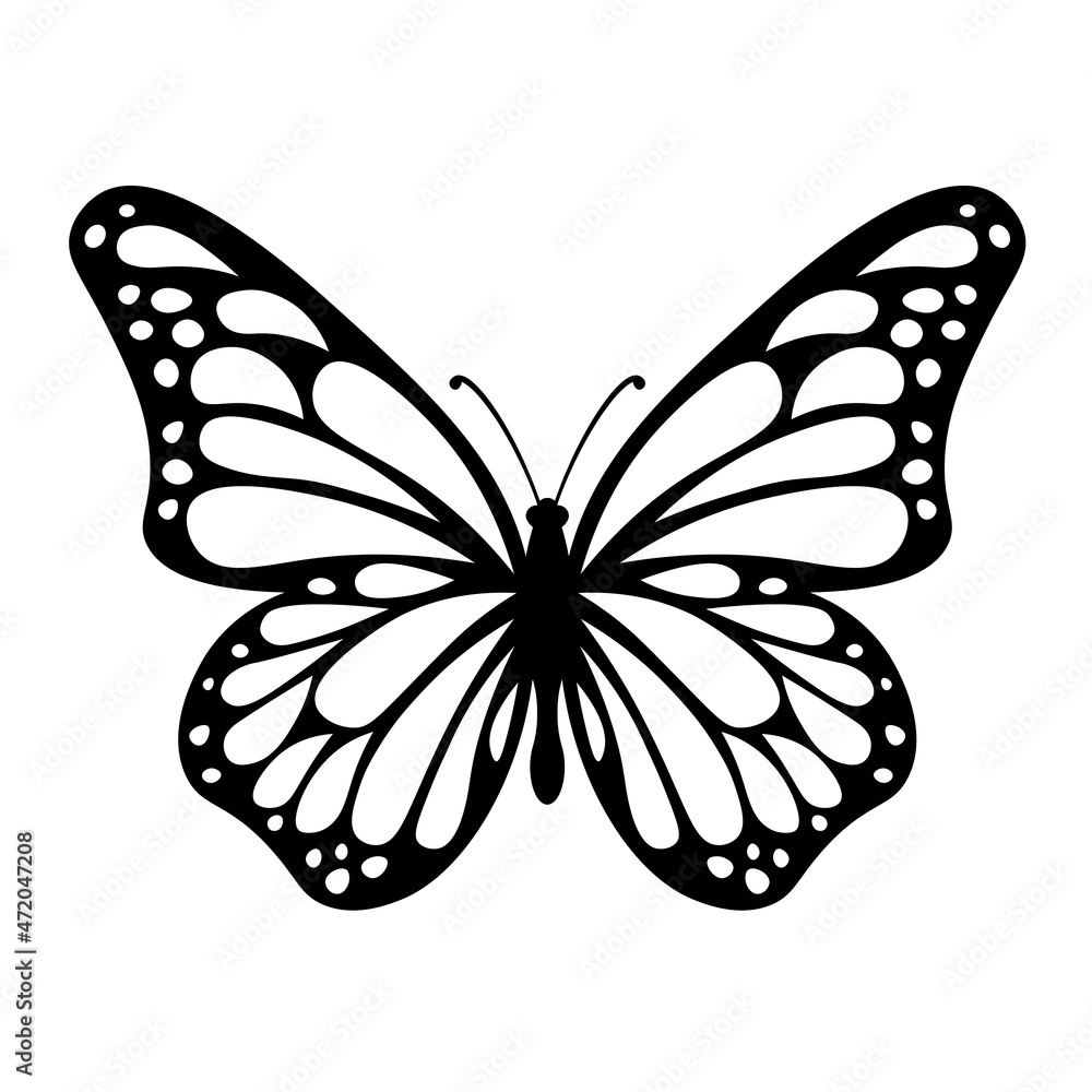 My Image 23
