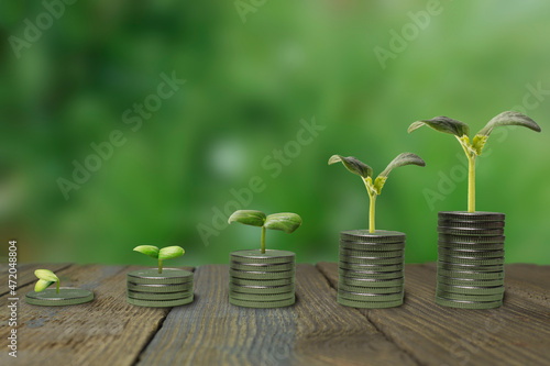 Dollar coins in a stack, growing graph with green background. the concept of investing, investing in business, maximizing profit, business finance and saving money. plant growing on a coin