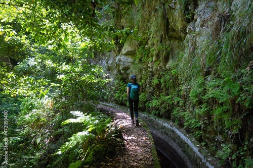 Randonnée sur la Levada Ribeira da Janela à Madère