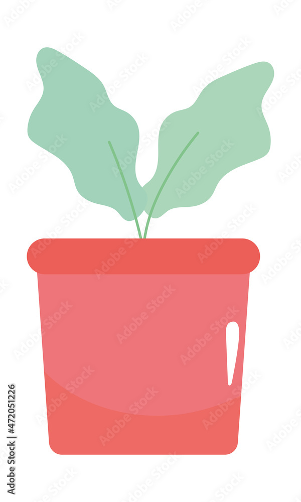 plant in a pot plant in a pot