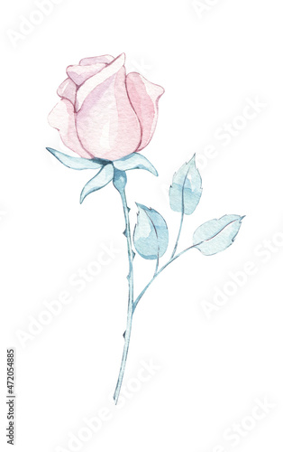 Pink rose flower. Provence  Spring  summer floral Watercolor hand painted isolated elements on white background. botanical illustration. for Wedding invitation  birthday card design