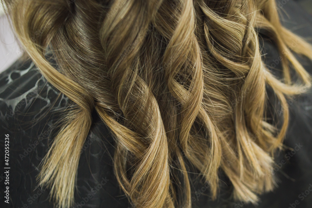 Naklejka premium Curly curly hair. The hairdresser curls his hair. Pokhld to the salon. Hair care. New hairstyle. selective focus.