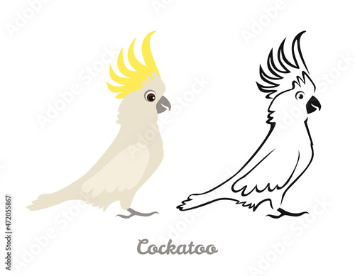 Cockatoo set. Black and white silhouette of Australian bird and color flat illustration. Parrot vector icons.