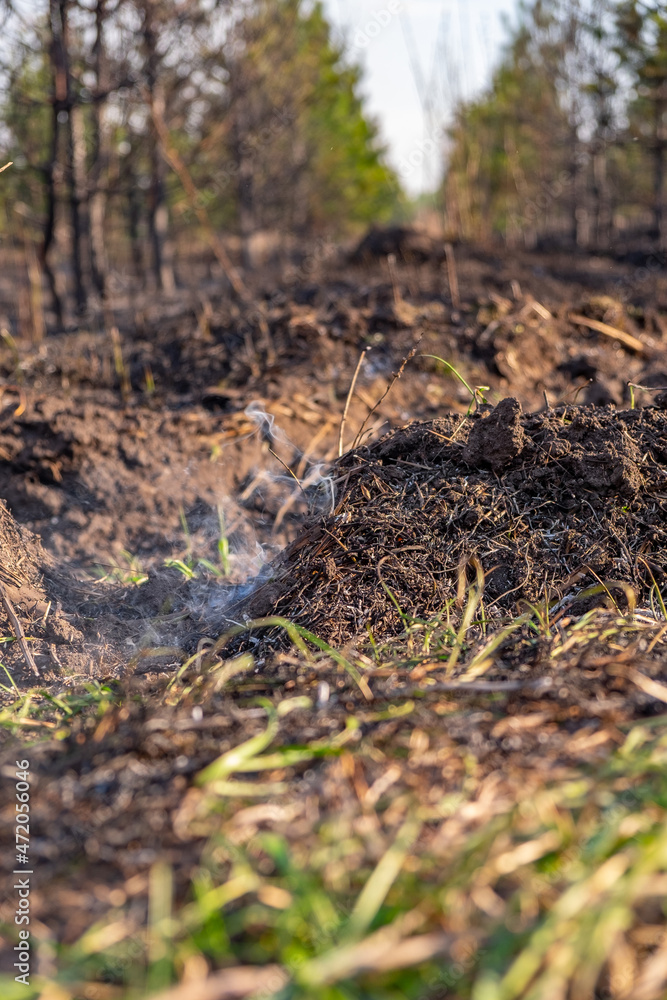 ash, fire ash, fire truck, firefighter, nature, tractor, transport, tree, vehicle ash, fire ash, fire truck, firefighter, nature, tractor, transport, tree, vehicle