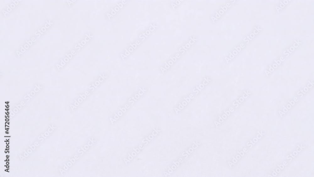 Encephalitis tick creeps on white background. Infectious disease carrier, terrible blood sucking crawling bug. Encephalitis tick creeps on white background. Infectious disease carrier, terrible blood sucking crawling bug.