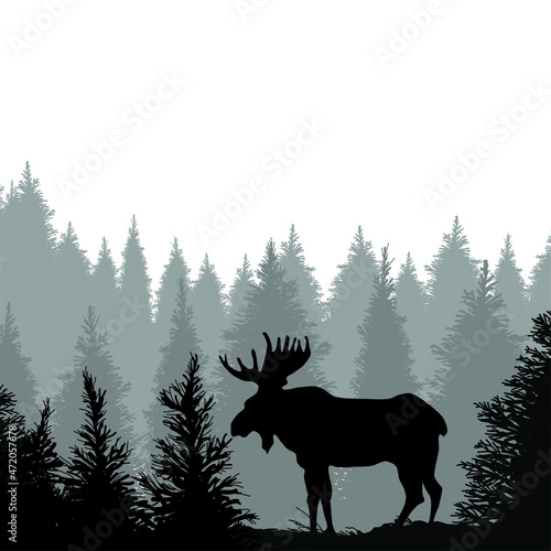 Moose In Forest vector. Moose illustration sign. Moose Scene symbol or logo.