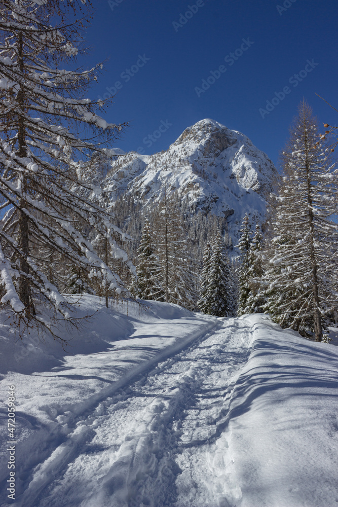 Italian mountains winter landscape. Path in the snow and the snow-covered fir forest with Monte Pelmo in the background. Winter forest against the blue sky. Holidays and Christmas concept. Italian mountains winter landscape. Path in the snow and the snow-covered fir forest with Monte Pelmo in the background. Winter forest against the blue sky. Holidays and Christmas concept.