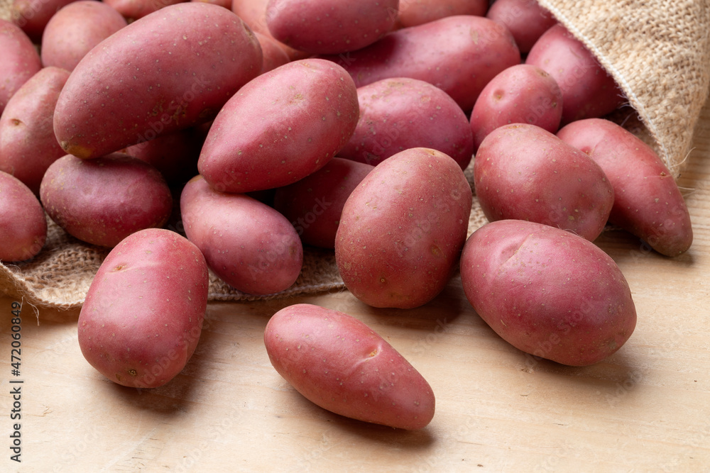 Fresh small Roseval potatoes from a burlap bag Fresh small Roseval potatoes from a burlap bag