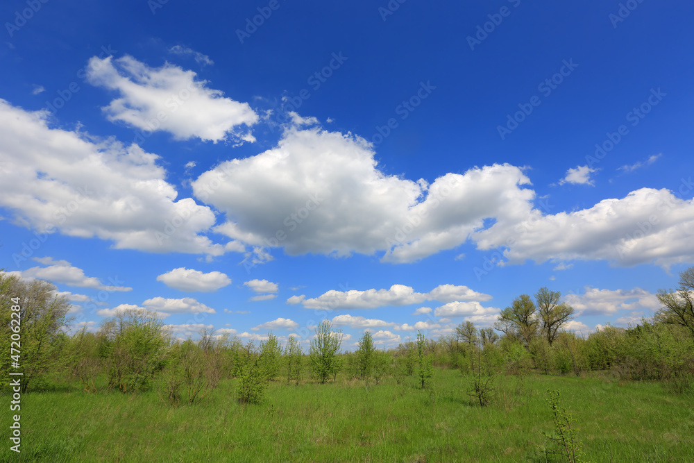 nice spring clouds in steppe