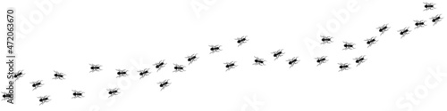 Ant trail A line of worker ants marching in search of food Vector illustration horizontal banner Ant road column Teamwork Hard work metaphor Black insect silhouettes traveling Isolated