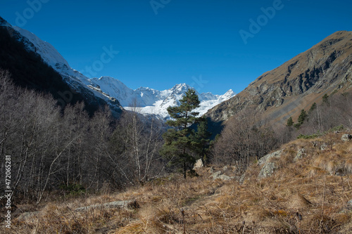 Scenic autumn mountain gorge landscape with snow peaks, Tana glacier, Digor Gorge, Northern Ossetia, Caucasus, Russia