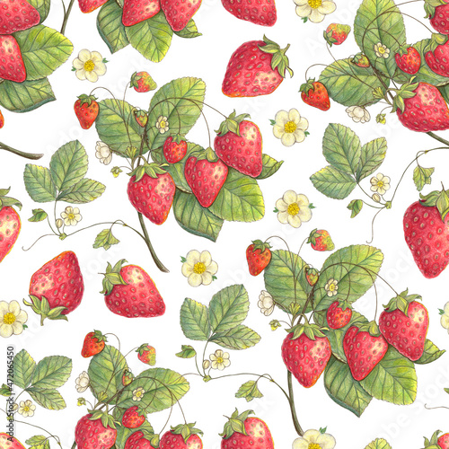 Strawberry berry seamless pattern. Hand drawn illustration. Design for vintage packaging. Color sketch. Colored pencil drawing.