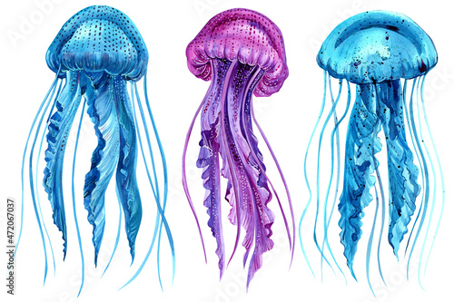 Set of jellyfish on an isolated white background, watercolor illustration, blue and pink jellyfish painting © Hanna