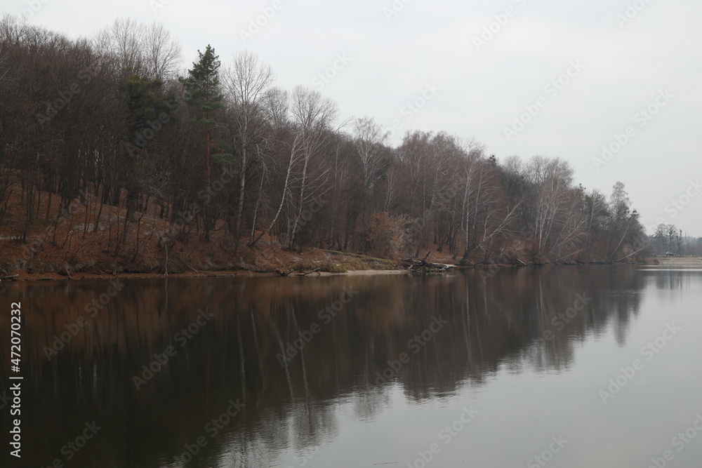 Fototapeta premium Autumn scenery of trees at the lake