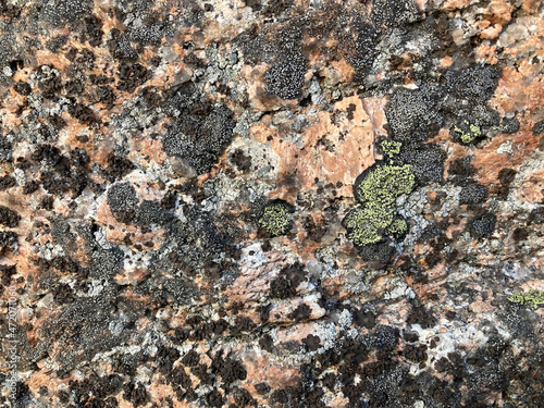 Grey granite stone outdoor texture.