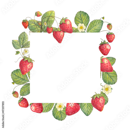 Strawberry frame, border. Hand drawn illustration. Color sketch. Colored pencil drawing. Colorful isolated Strawberries bushes and berries.