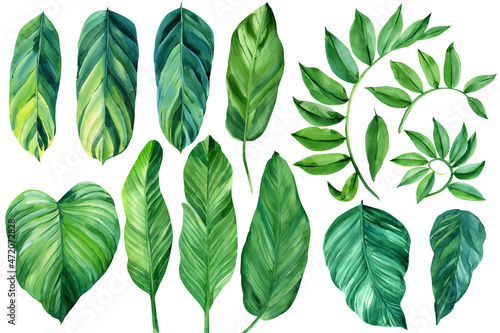 Topical set, green palm leaves, watercolor illustration on isolated white background
