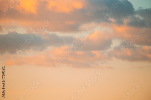 Belarus. Wild Bird Great Egret Ardea Alba Flying In Sunset Sky © Grigory Bruev