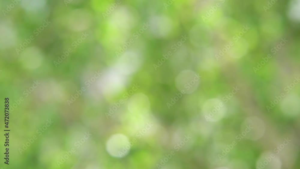 Colorful bokeh background. Business blurry wallpaper. Abstract soft texture. Dreamy sunlights unfocus. Card decoration. Glamour backdrop. Green color. Horizontal Colorful bokeh background. Business blurry wallpaper. Abstract soft texture. Dreamy sunlights unfocus. Card decoration. Glamour backdrop. Green color. Horizontal