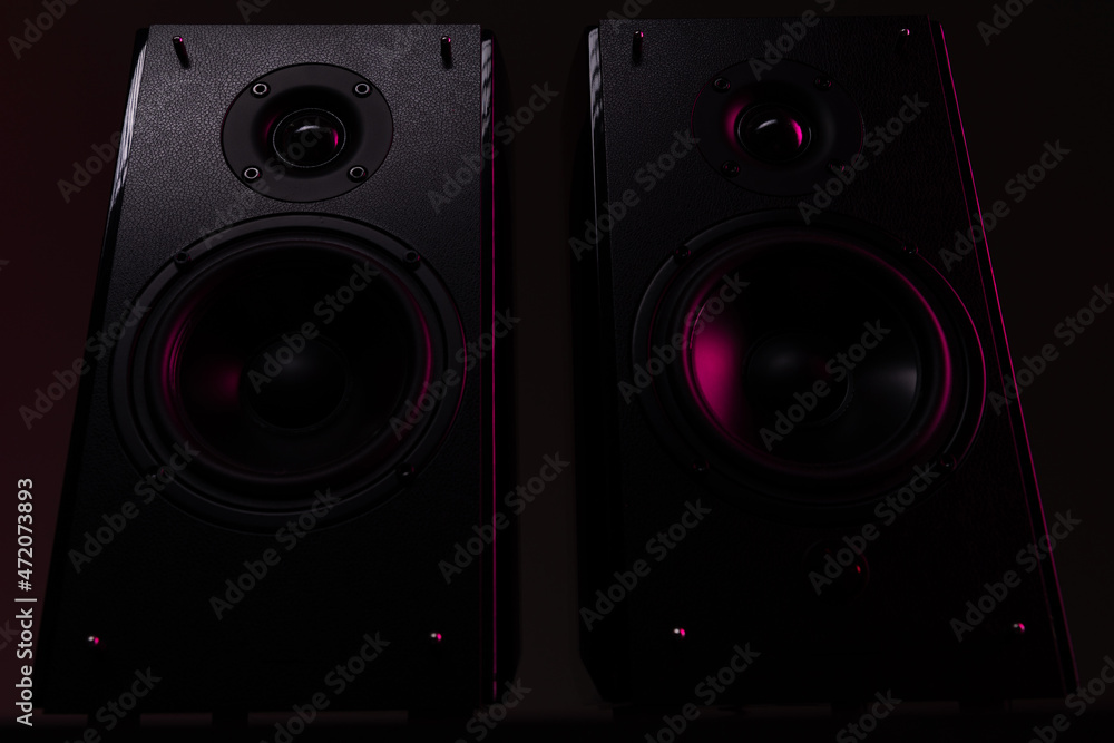 photograph of a strong speaker on a black background with red-purple illumination, bottom view, luxury acoustics photograph of a strong speaker on a black background with red-purple illumination, bottom view, luxury acoustics