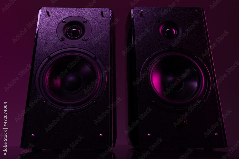 acoustic system for a sound engineer, professional studio monitors, musical equipment for connoisseurs and audiophiles acoustic system for a sound engineer, professional studio monitors, musical equipment for connoisseurs and audiophiles