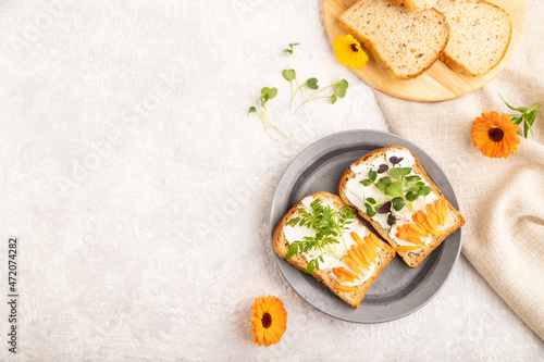 White bread sandwiches with cream cheese, calendula and microgreen on gray. top view, copy space.