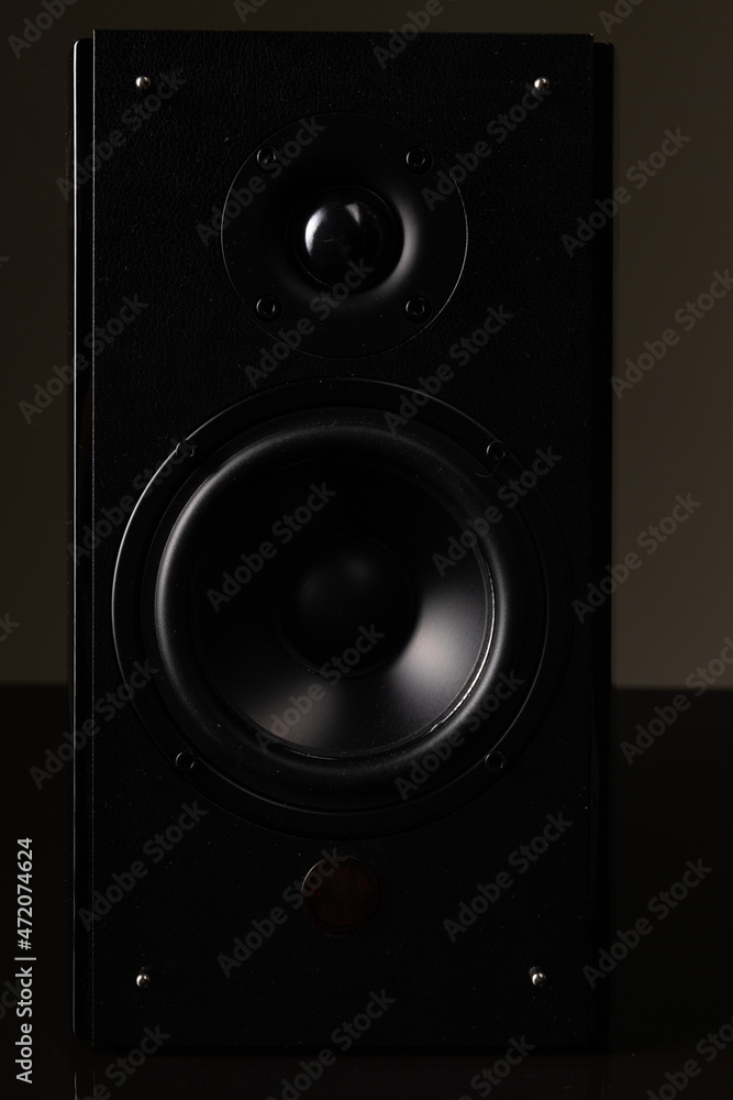 luxury speaker system, music column with large speaker luxury speaker system, music column with large speaker