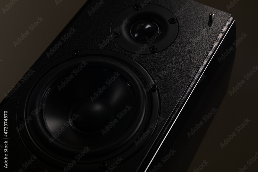 huge multimedia speaker audio monitor on a dark background close-up with a large speaker huge multimedia speaker audio monitor on a dark background close-up with a large speaker