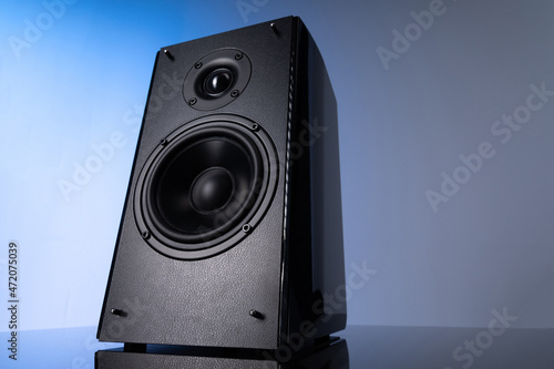 large speaker with two speakers on a gray-blue background close-up photo