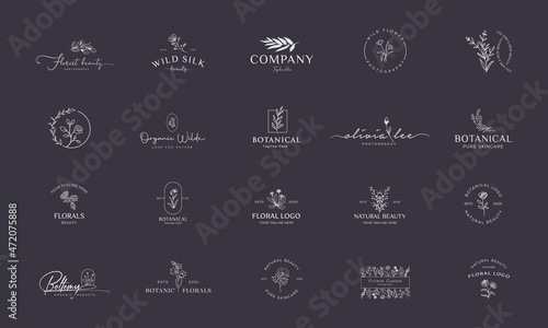 Set of Botanical, Floral element Hand Drawn Logo with Wild Flower and Leaves. Logo for spa and beauty salon, boutique, organic shop, wedding, floral designer, interior, photography, cosmetic.
